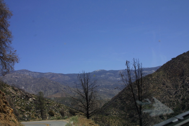 IMG_1290.JPG
