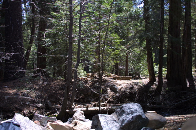 IMG_1224.JPG