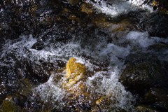 IMG_1217.JPG