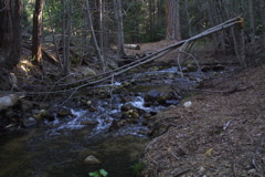 IMG_1246.JPG