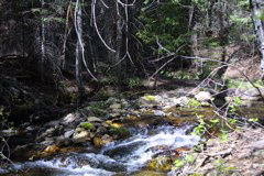 IMG_1219.JPG