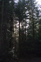 IMG_1255.JPG