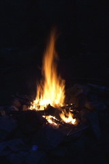 IMG_1263.JPG