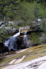 IMG_1268.JPG
