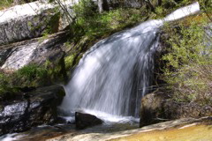 IMG_1285.JPG