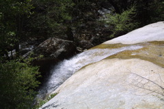 IMG_1286.JPG