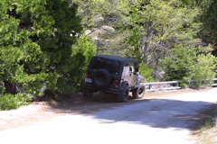IMG_1287.JPG