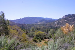 IMG_1288.JPG