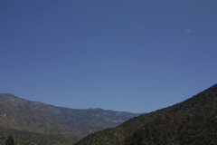 IMG_1289.JPG