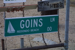 IMG_5266.JPG