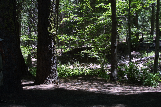 IMG_5079.JPG
