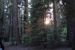 IMG_5120.JPG