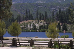 IMG_5128.JPG