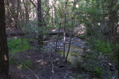 IMG_5072.JPG