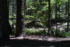 IMG_5079.JPG