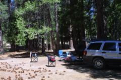 IMG_2249.JPG