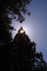 IMG_2252.JPG