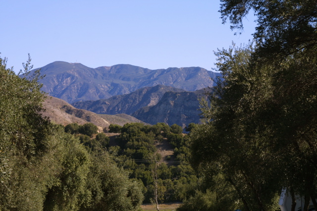 IMG_4795.JPG