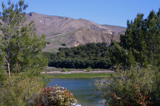 IMG_4808.JPG