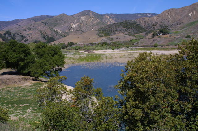 IMG_4862.JPG
