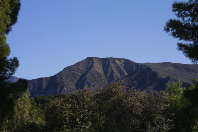 IMG_4804.JPG
