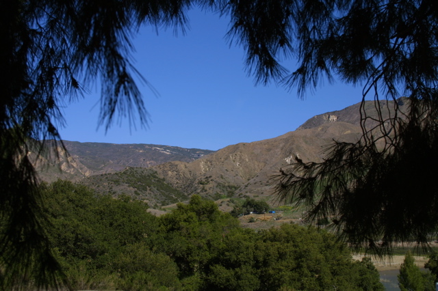 IMG_4805.JPG
