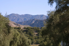 IMG_4795.JPG