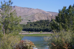 IMG_4808.JPG