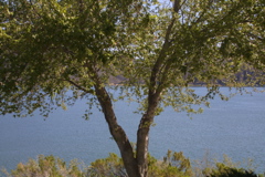 IMG_4823.JPG