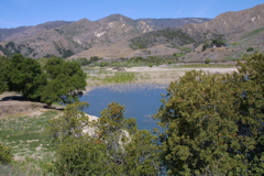 IMG_4862.JPG