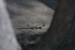 IMG_4870.JPG