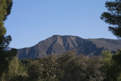 IMG_4804.JPG