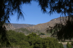 IMG_4805.JPG