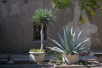 IMG_5544.JPG