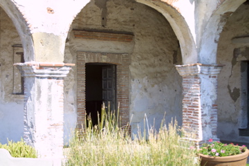 IMG_5534.JPG