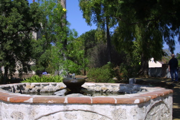 IMG_5567.JPG
