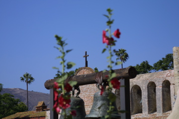 IMG_5571.JPG