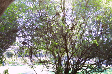 IMG_5597.JPG