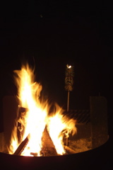IMG_1445.JPG