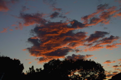 IMG_4029.JPG